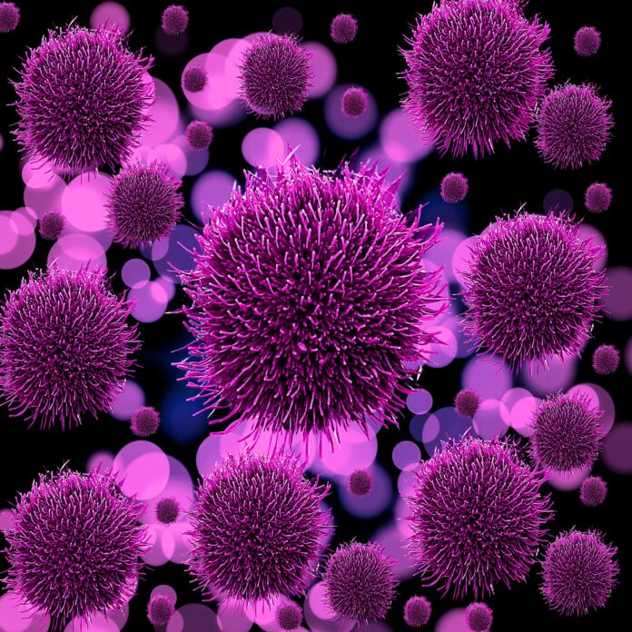 sursa foto: pixabay.com boala lupus cauze simptome tratament
